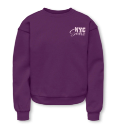 Kids ONLY sweater Malene Grape royal