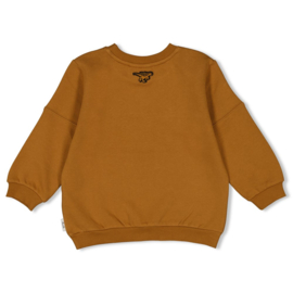 Sturdy sweater bruin He Ho Dino