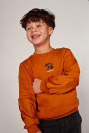 Sturdy sweater oranje Mountain Top