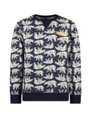 Tygo & Vito sweater aop icebear