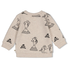 Feetje sweater aop Mountain top
