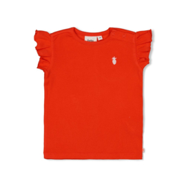 Feetje t-shirt rib rood Berry Nice