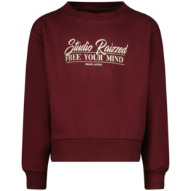 Raizzed girls sweater Line