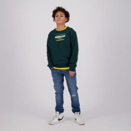 Raizzed boys sweater Sandane scarab green