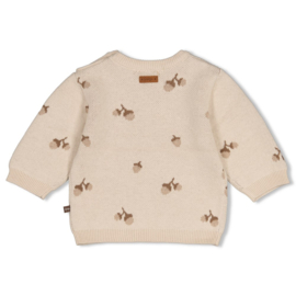 Feetje sweater gebreidt ao zand The Knits