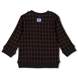 Feetje sweater ruit Go Fetch