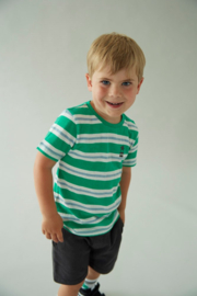 Sturdy short antra Gone surfing