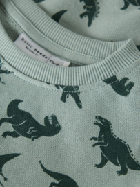 Name It Vifelix sweater jadeite lots of dinos
