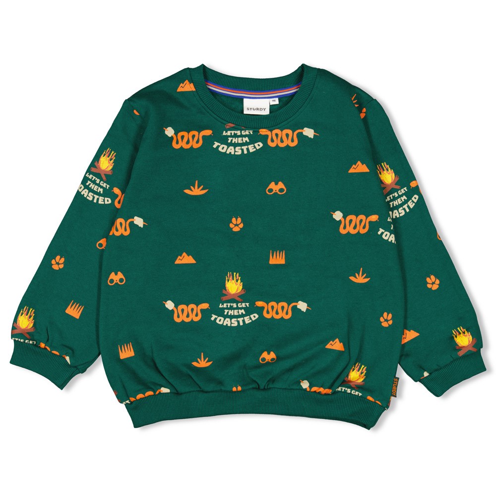 Sturdy sweater aop groen Chasing Trails