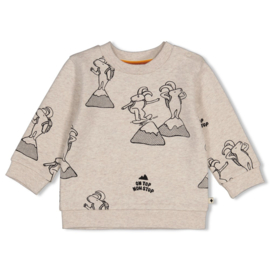 Feetje sweater aop Mountain top