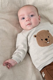 Feetje sweater grijs melange Tiny Timber Tales