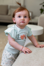 Dirkje t-shirt mint love