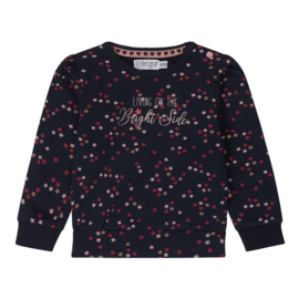 Dirkje sweater navy