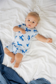 Feetje premium rib pyjama shortama Lenny Lifeguard