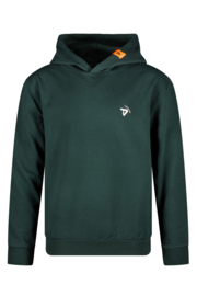 Tygo & Vito Teens hoody Nigel green