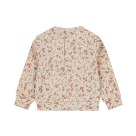 Dirkje sweater beige grey