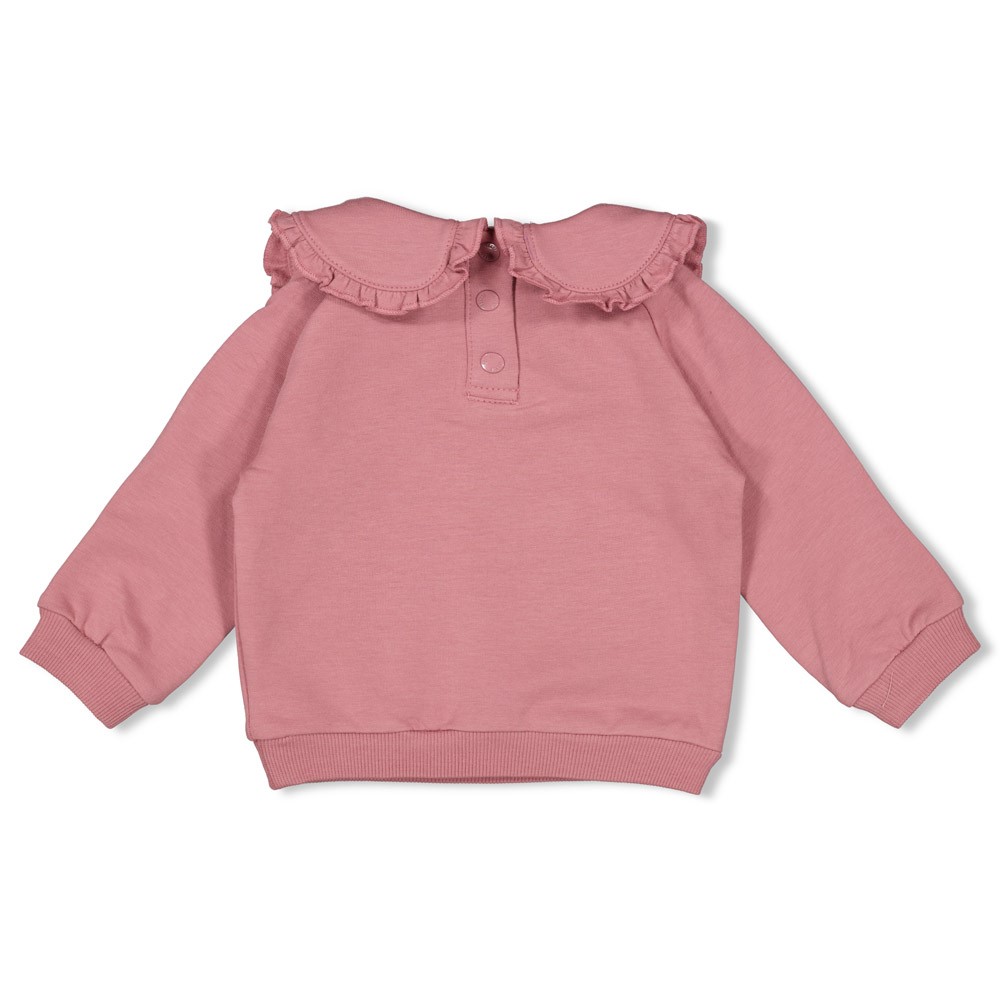 Feetje sweater mauve Swanlake