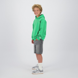 Raizzed hoody fresh green Newport