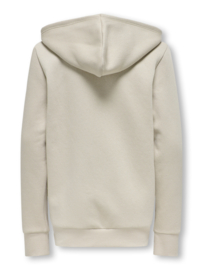 Only & Sons zipper hoodie Ceres lining