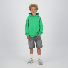 Raizzed hoody fresh green Newport