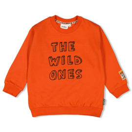 Sturdy sweater rood Fly Wild