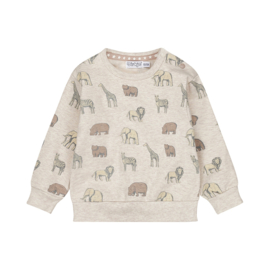 Dirkje sweater loose fit pebble
