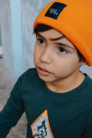 Tygo & Vito longsleeve Mason storm green