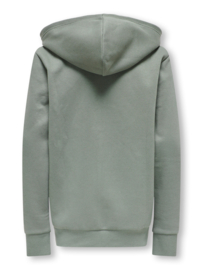 Only & Sons zipper hoodie Ceres gray