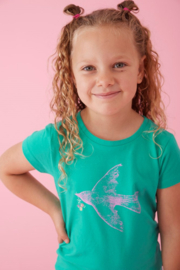 Jubel t-shirt groen Picknick Perfect