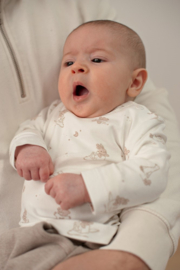 Feetje longsleeve aop offwhite The Cuddle company