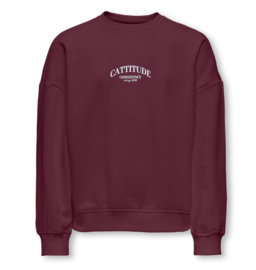 Kids ONLY sweater Bila fig cattitude
