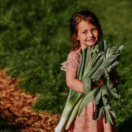 Koko Noko dress blushed terra