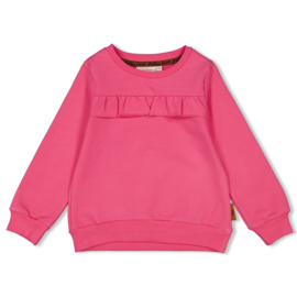 Jubel sweater ruches pink Color me Panther