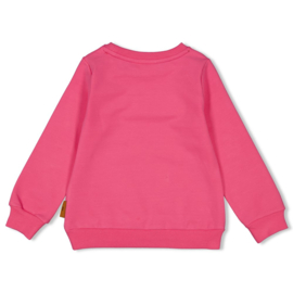 Jubel sweater ruches pink Color me Panther