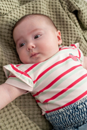 Bess t-shirt striped