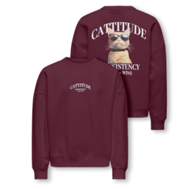 Kids ONLY sweater Bila fig cattitude