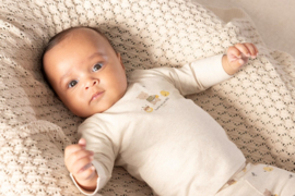 Feetje longsleeve offwhite melange Honey Bear