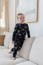 Feetje premium sleepwear rib pyjama Davy Dino