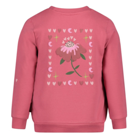 Jubel sweater roze Moon Flowers