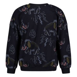 Sturdy sweater aop relaxed fit Rock the Earth