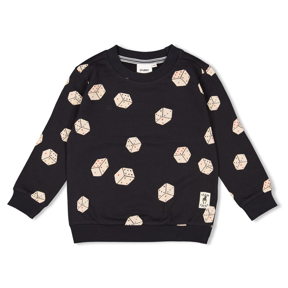 Sturdy sweater aop Couch Club