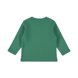 Dirkje longsleeve green