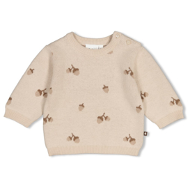 Feetje sweater gebreidt ao zand The Knits