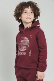Tygo & Vito hoodie Hobie merlot