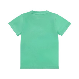 Dirkje t-shirt bright green
