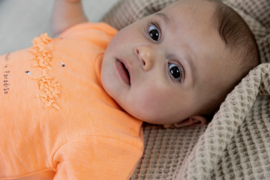 Dirkje dress neon peach