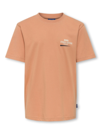 Only & Sons Maxe Life printed tee
