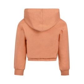 Koko Noko hoodie muted clay