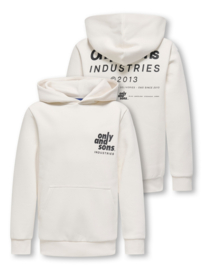 Only & Sons Hudson hoody Cloud Dancer Industries