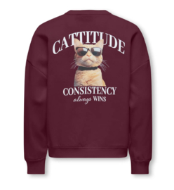 Kids ONLY sweater Bila fig cattitude